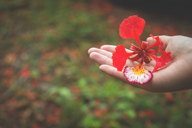 Mùa hè – Mùa của hoài niệm