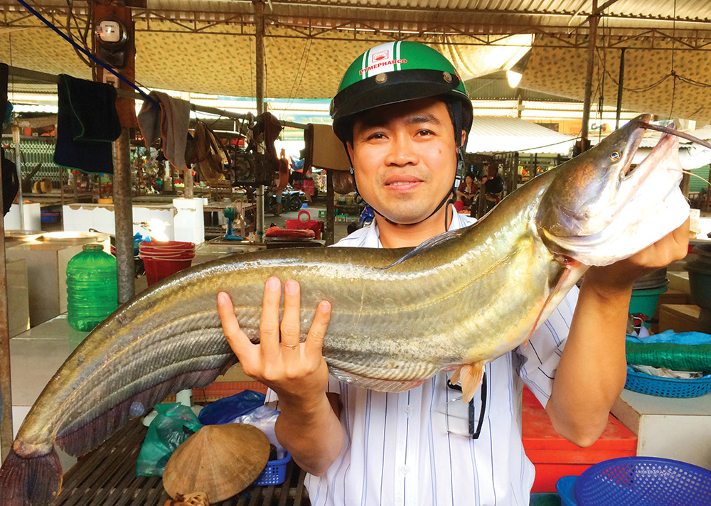 Nhớ thời “về sông ăn cá…