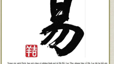 Hà đồ & Lạc thư của BS Nhân Tử Nguyễn Văn Thọ